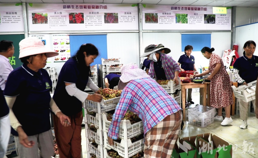 打鱼微信加客服送分